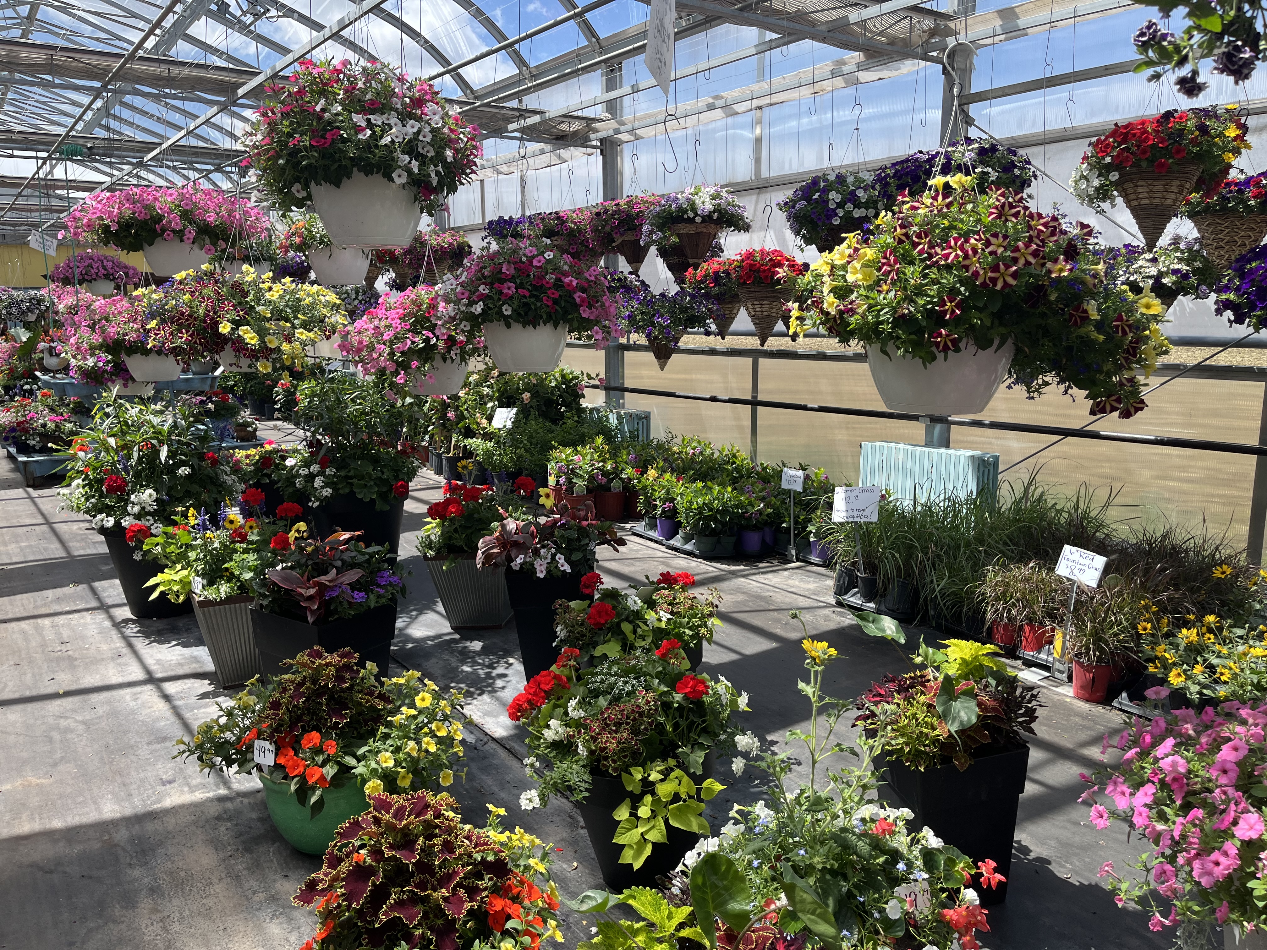Garden photo